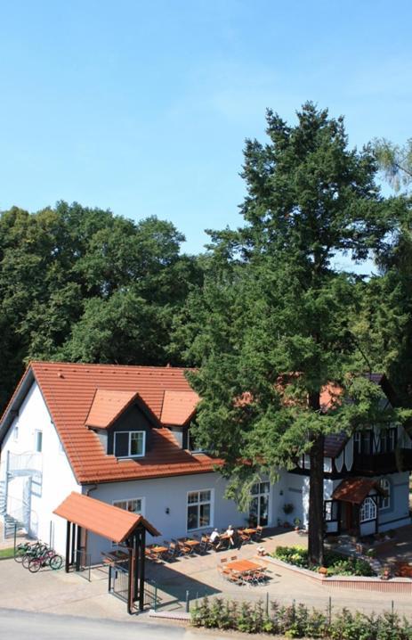 Hotel Zur Waldhufe Doberlug-Kirchhain Exteriér fotografie